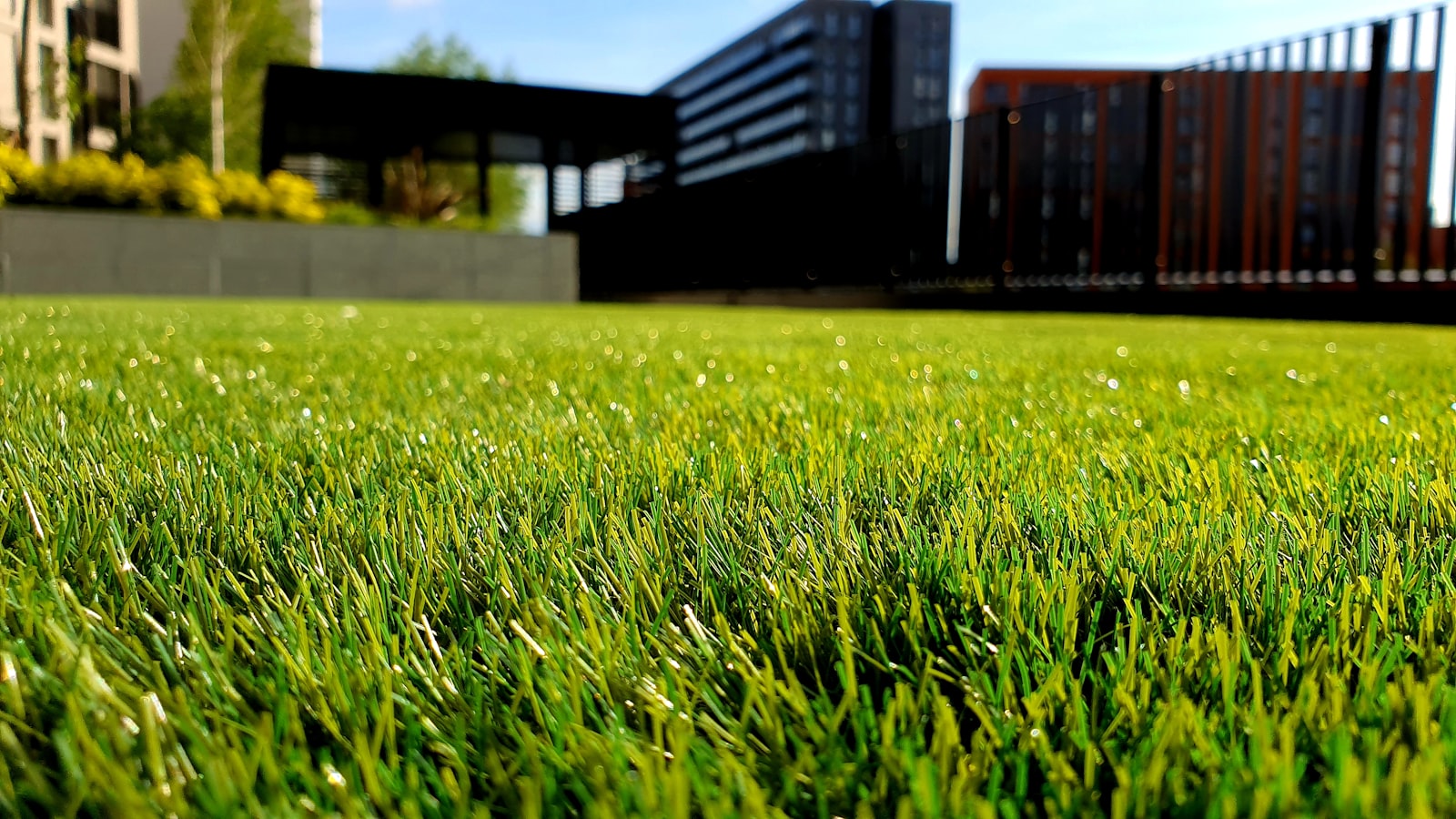 Thick healthy green lawn beside a patio