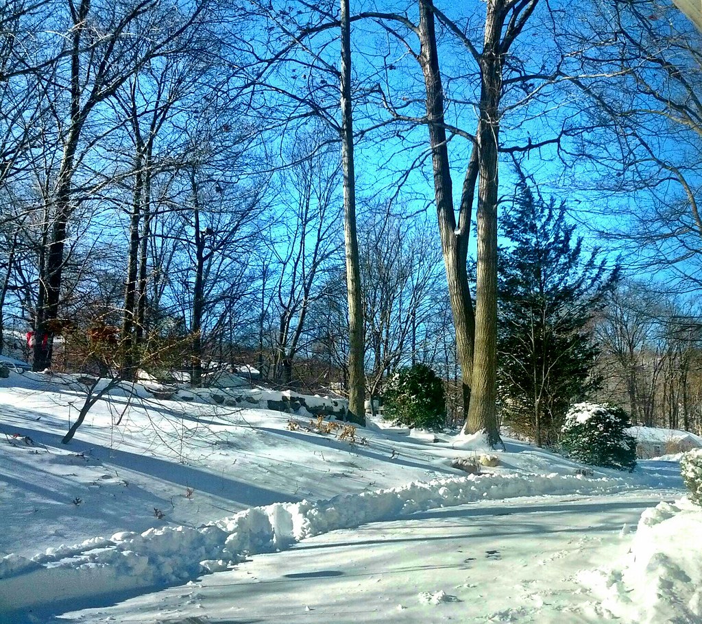 Snow-cleared New England yard and driveway in winter